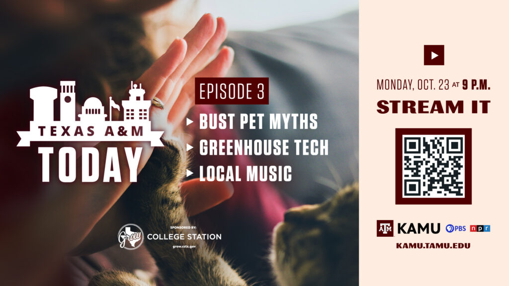 Texas A&M Today Streaming Episode 1 Digital Signage Asset